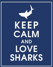 Stay calm and love sharks